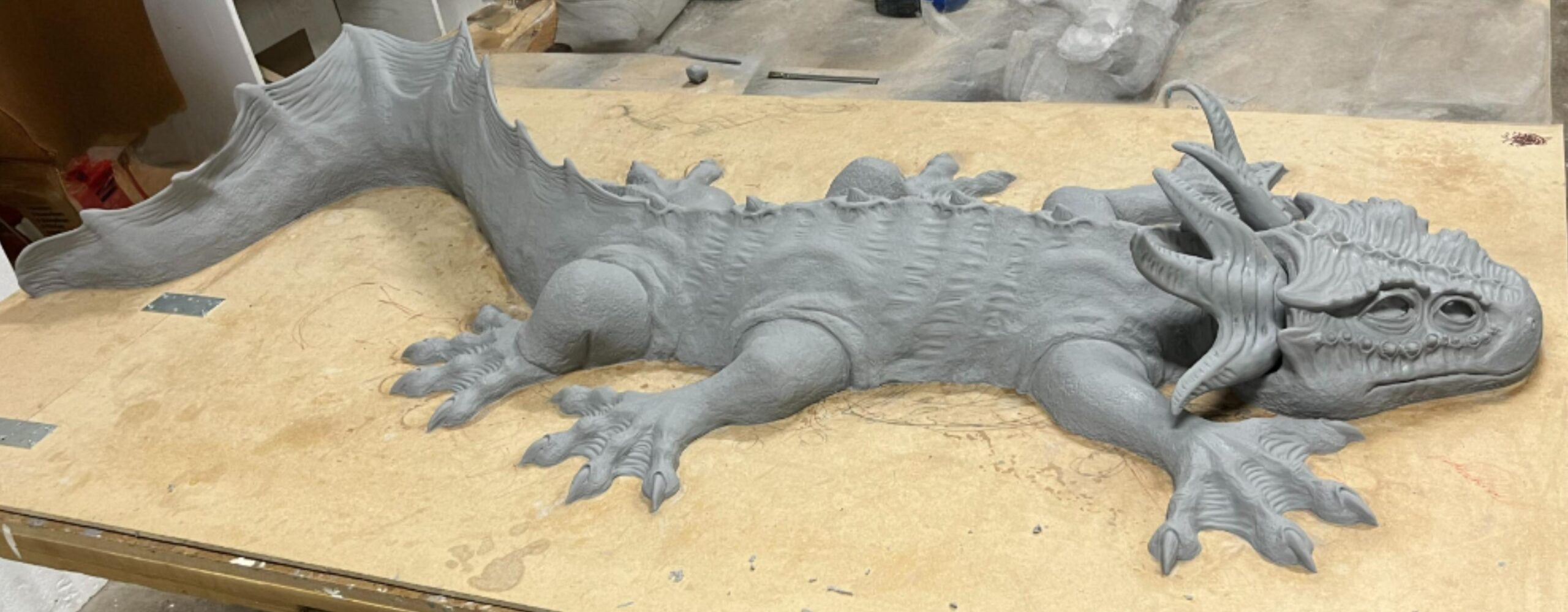 3_Iguana_2